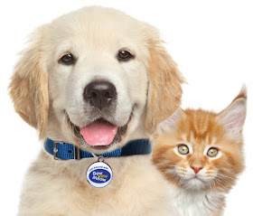 Bow-Wow-Meow-Pet-Insurance