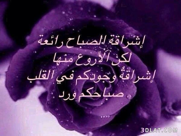 صور صباح الخير Photos Good Morning 13434406302.jpg