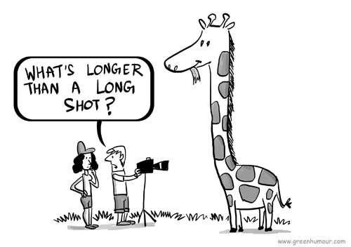 Green Humour: Cartoons on Wildlife Photography for Dusty Foot Productions