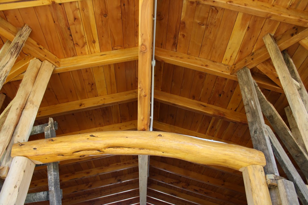 la Vida me guia: '' La casa de todos