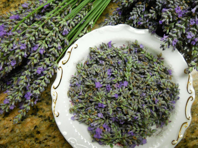 Lavender stems and flowers