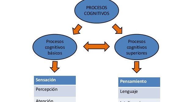 PROCESOS COGNITIVOS BASICOS PDF PROCESOS COGNITIVOS BASICOS PDF
