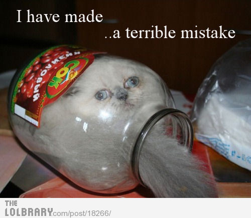 jar-cat-made-a-terrible-mistake-18266.jpg