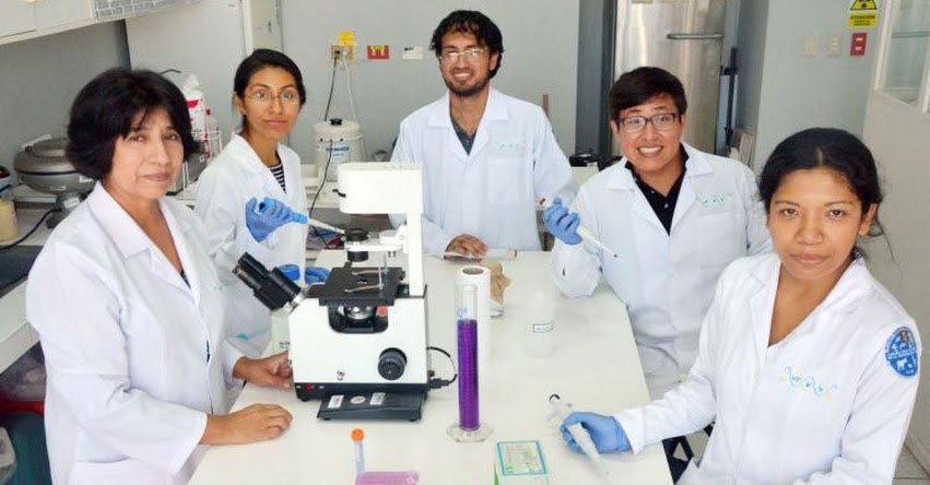 UNMSM: Conoce los innovadores proyectos creados por estudiantes de la Universidad San Marcos UNMSM: Conoce los innovadores proyectos creados por estudiantes de la Universidad San Marcos