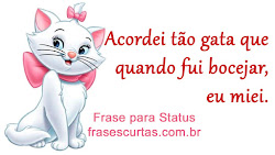 frases status whatsapp curtas vida frase amor dia minha gosta quem frasescurtas mensagem mensagens amizade deus conta tomar um salvo