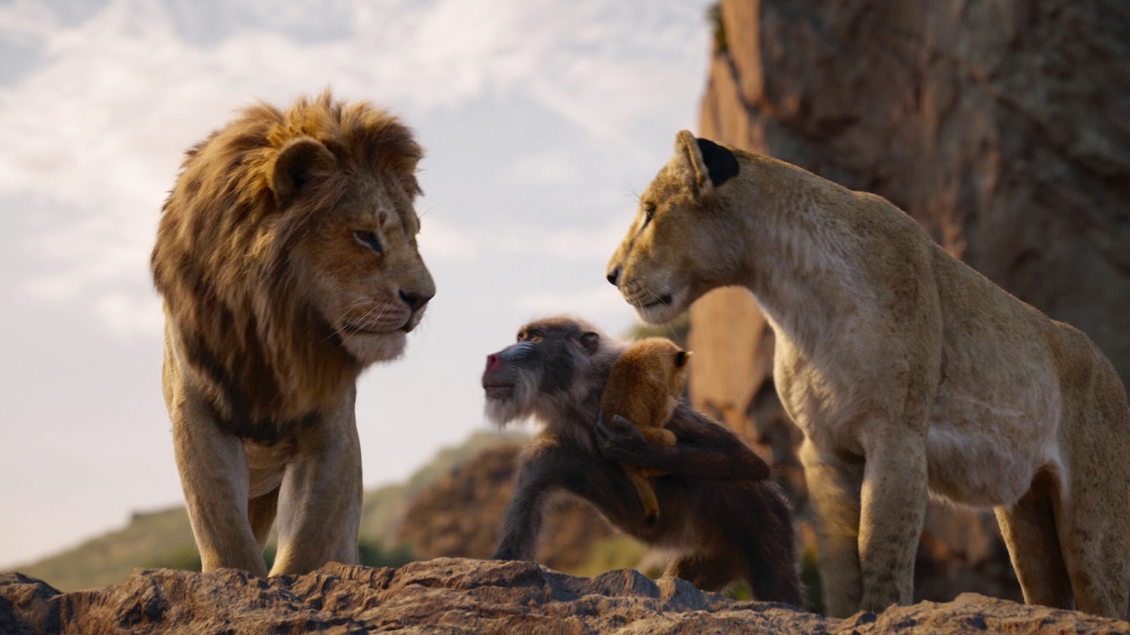 Король лев 2019 года. Король Лев 2019. Король Лев 2019 Симба. Король Лев 2019 Симба и Нала.