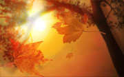 Autumn and Leaves CloseUp Wallpaper