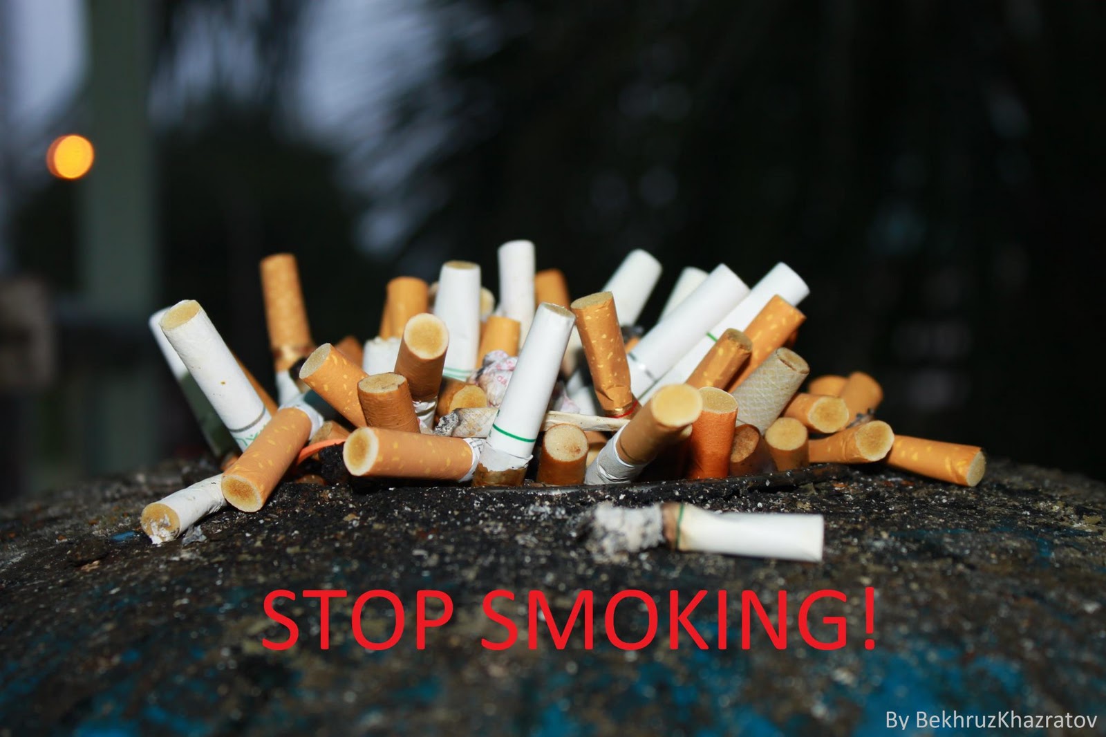 Geography How Smoking Affects our Environment?!