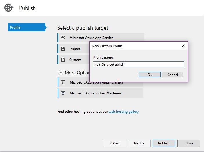 How To Publish  API REST Service In File System
