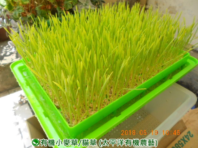 �p��,�߯�ش�,�߯�شӤ�k,�߯�,�߯�O����,�߯�diy,�߯�p����,�߯����,�^�K���@�k,�ؿ߯�