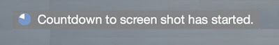 ScreenShot Timer in Preview on Mac