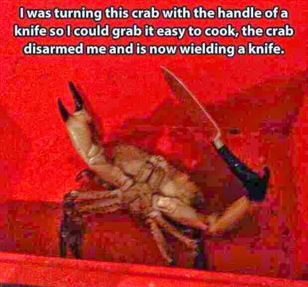 I was turning this crab with the handle of a knife so i could grab it