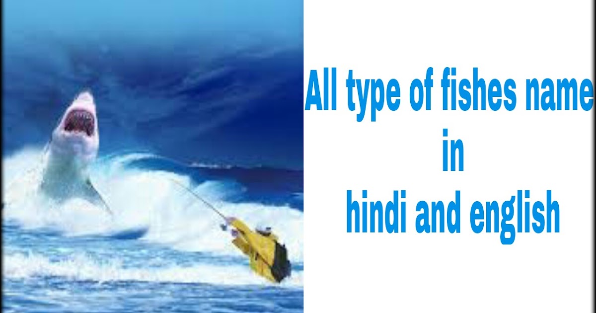 All type of fishes name in hindi and english