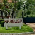 MARGUSA encerra atividades em Bacabeira e mais de 500 perdem empregos