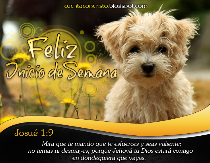 Resultado de imagen para feliz semana