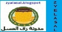 مدونة زى العسل اسماء نطاقات الدول على الانترنت