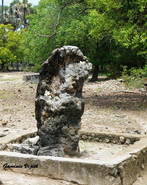 IMGP0915.JPG