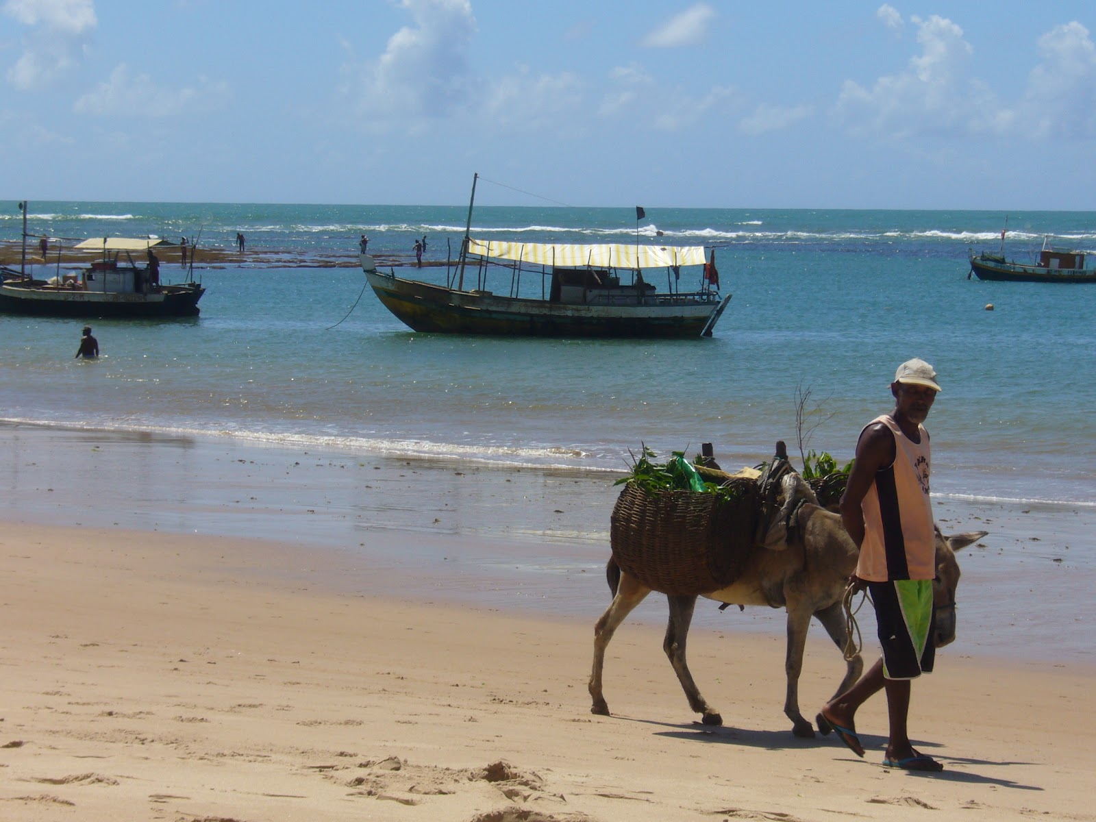 FORLAB: Brasil I ( Salvador de Bahía )