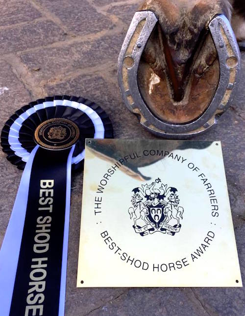 Best shod horse awards