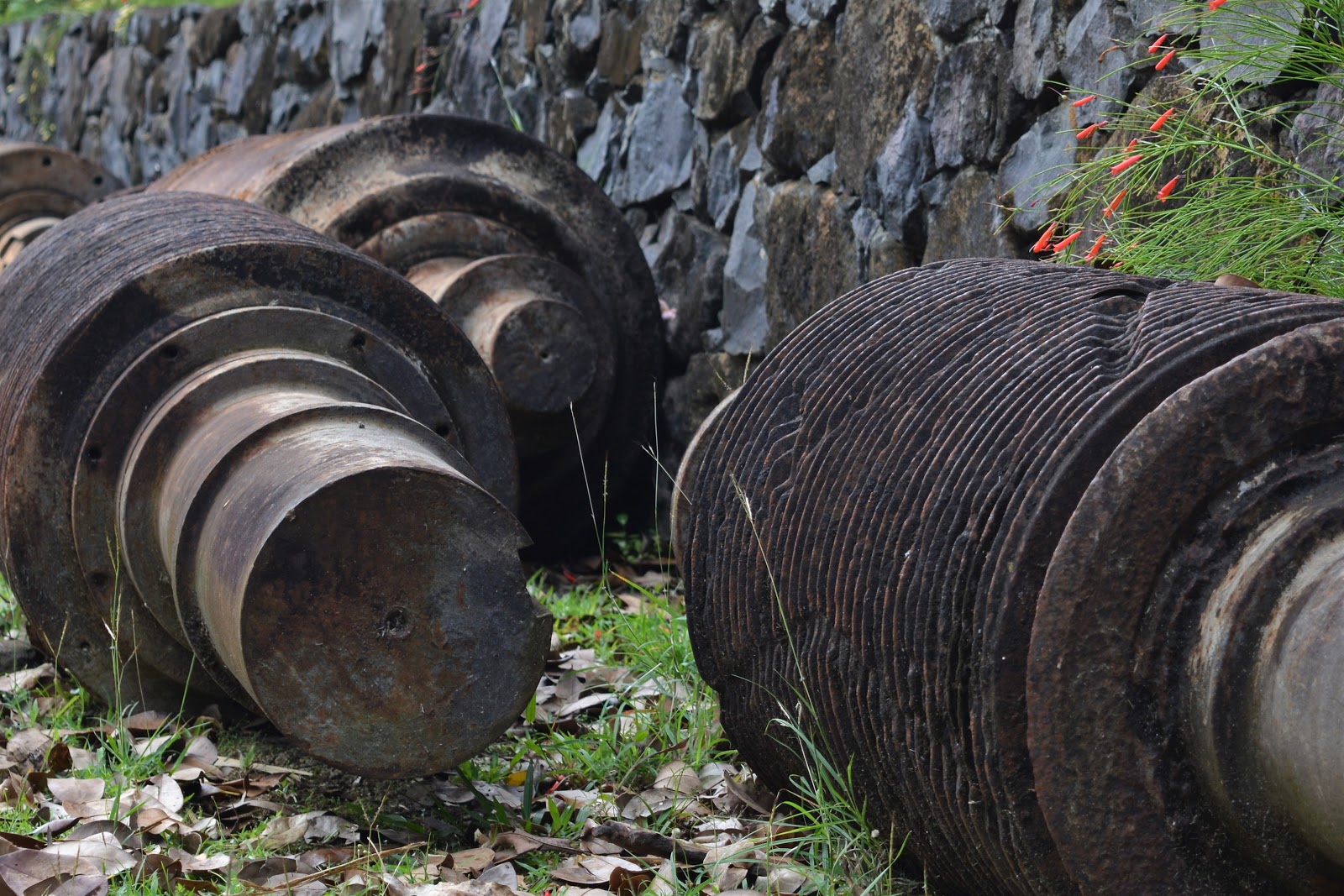 Musée du Rhum SainteRose La Guadeloupe Michèle en Baskets