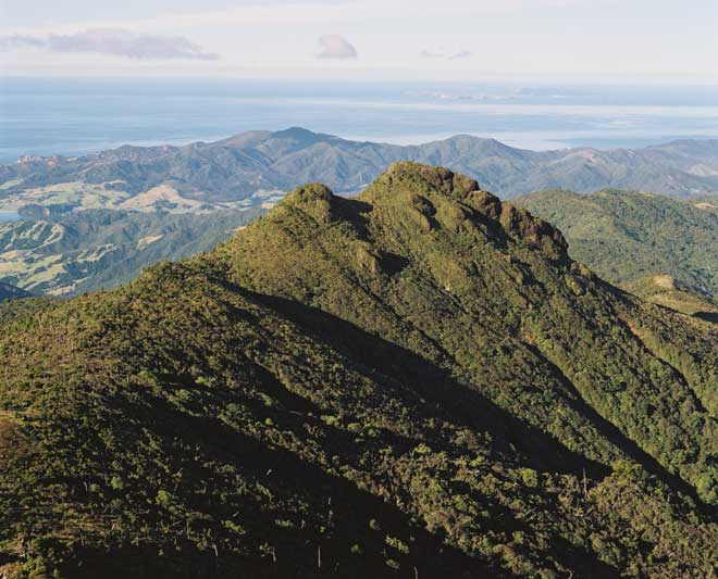 Indigenous environmental management Te Arawa seeks place in Hauraki