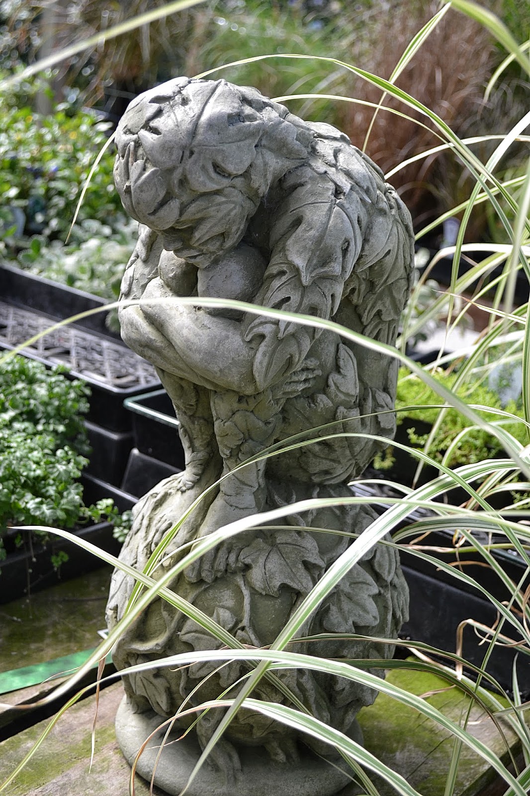 The Outlaw Gardener More Retail Therapy at Vassey Nursery