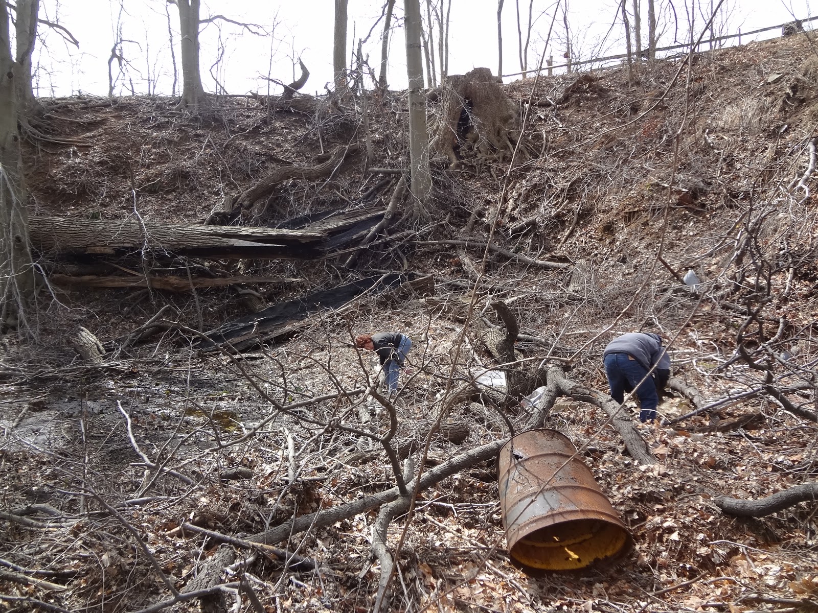 Navesink Swimming River Group