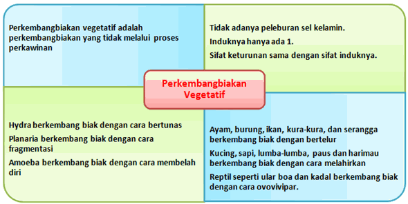 Contoh Hewan Kelas Mamalia - Contoh Sur