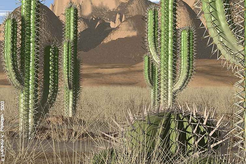 Lapisan lilin pada permukaan batang kaktus berfungsi untuk