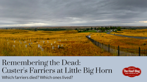 Fran Jurga S Hoofcare Lameness Remembering The Dead Custer S Farriers At Little Big Horn