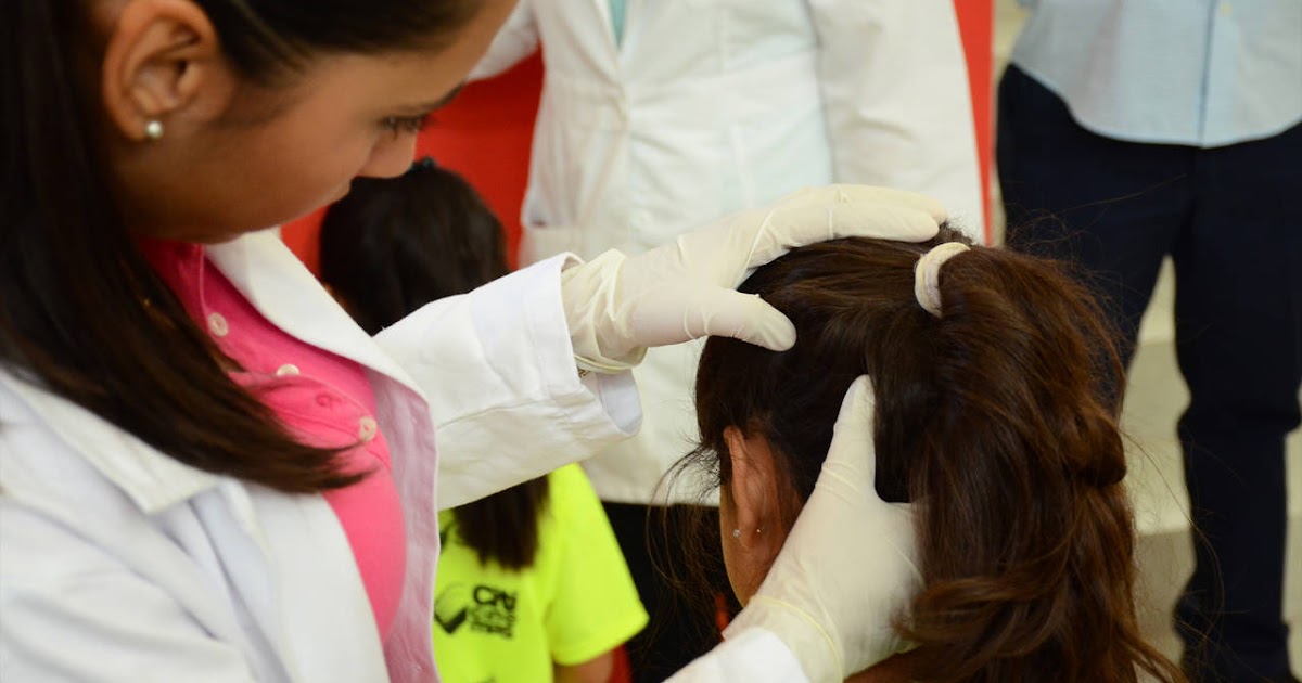 Осмотры детей на педикулез проводятся в лагере. Осмотр волосистой части головы. Осмотр головы на педикулез.