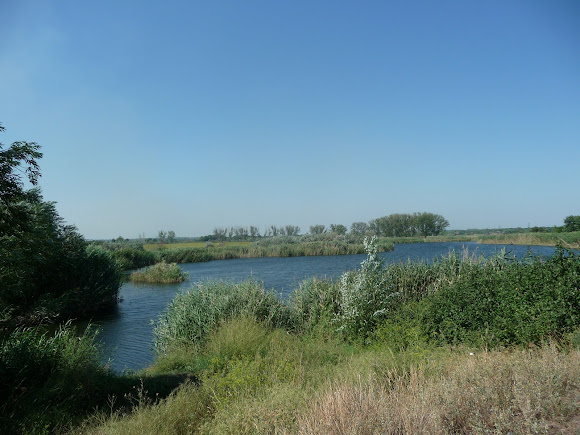 Річка Вовча. Притока Самари