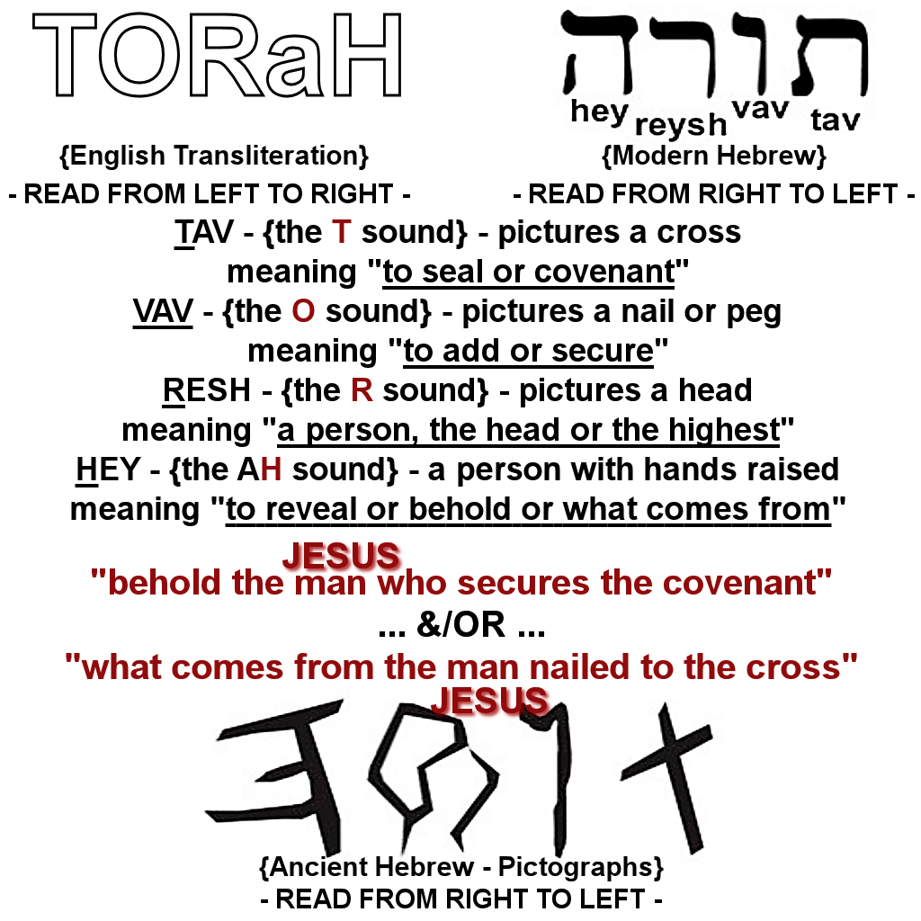 the-lamb-s-wife-blog-03-07-16-what-s-in-a-word-torah