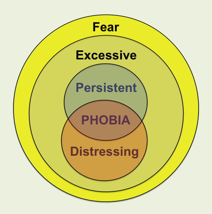 A phobia is an fear of something. What’s the difference between a Phobia and a Fear?. What difference between Fear and Phobia. Fears and Phobias проект. Different Phobias.