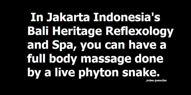 In Jakarta Indonesia's Bali Heritage Reflexology and Spa, you can have a full body massage done by a live phyton snake.