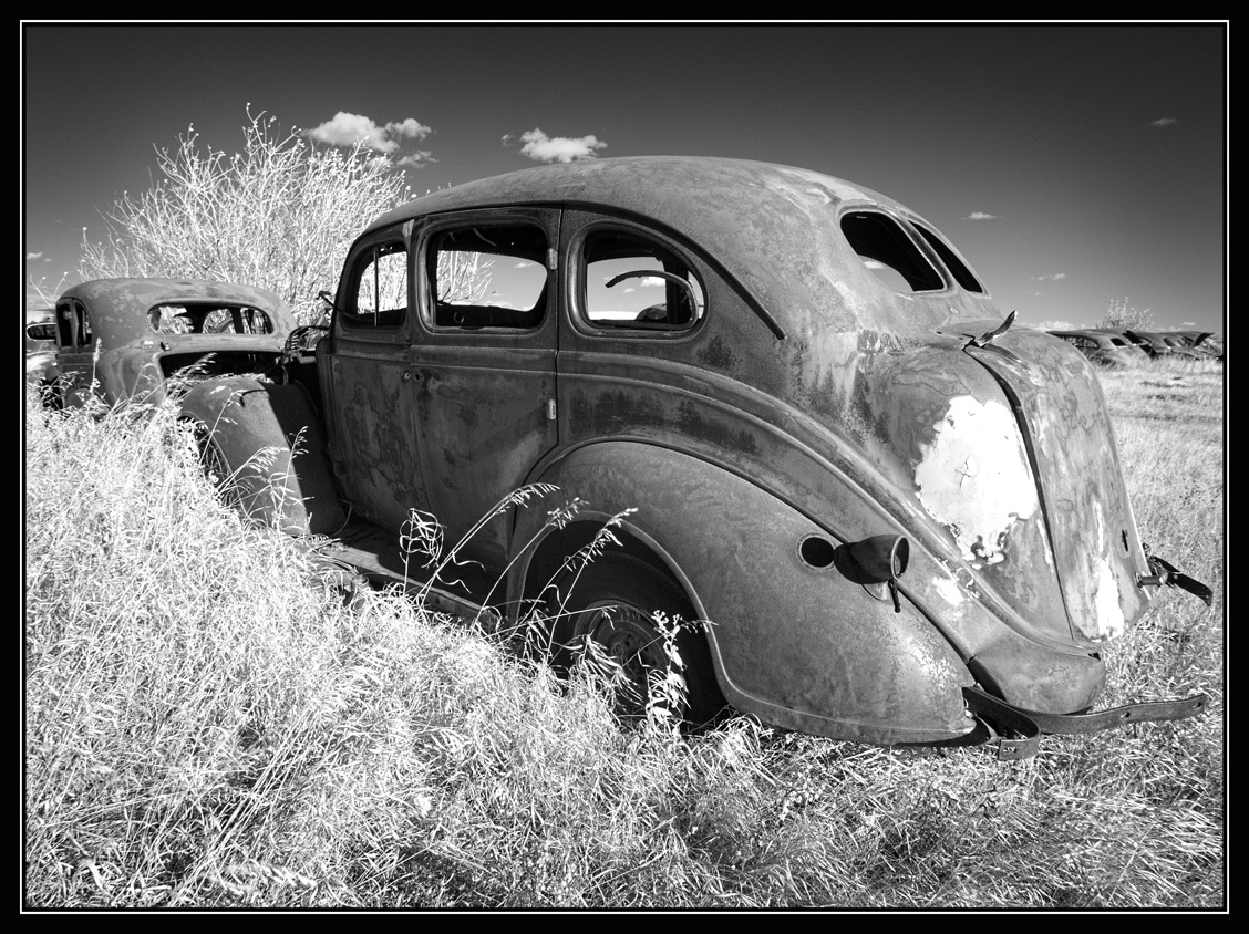 James Ainslie Aldon Auto Salvage 14