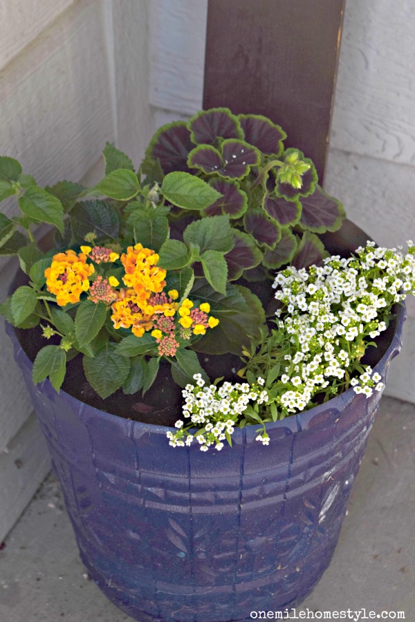 Using flowers to add a little spring touch to the front porch