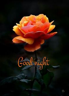 good night images 3d