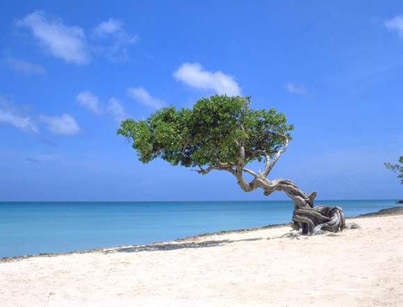 Aruba, Caribbean, best beaches in the world, best resorts, all-inclusive