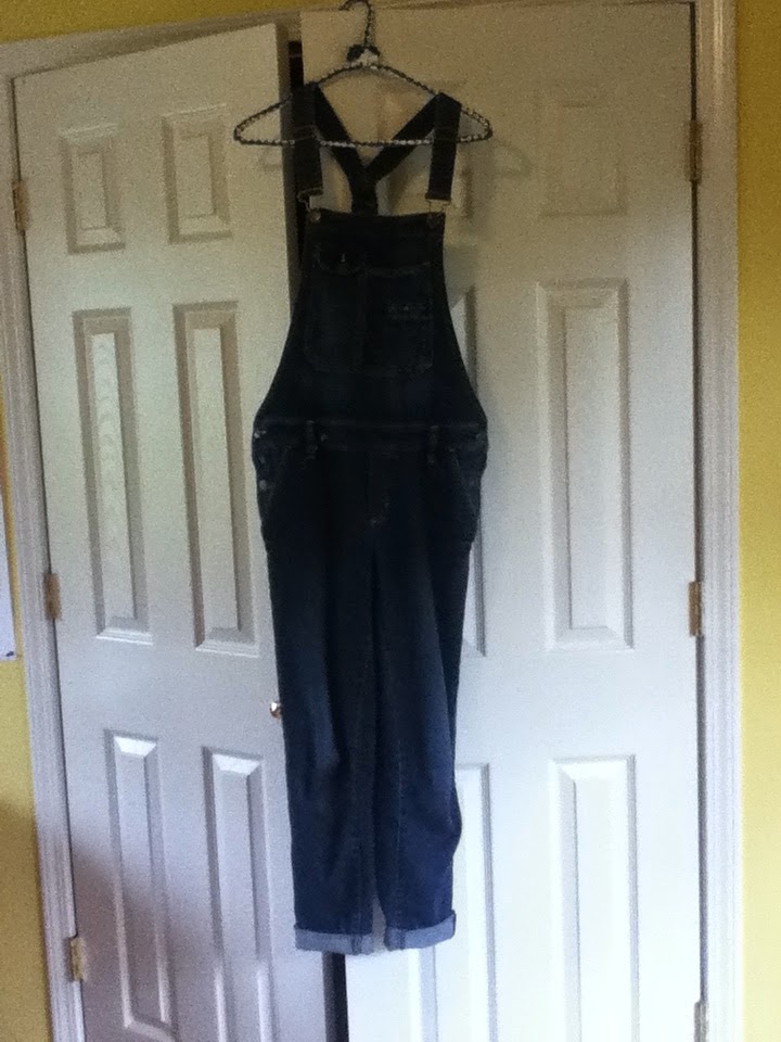 Overalls Fashion Statement or Lazy GoTo?