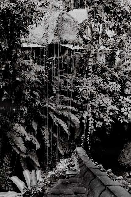 The Black & White Bali by Nadine Friedman