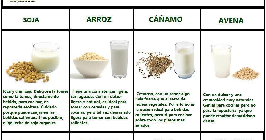 Centro comercial Abrazadera Señor Vegspiration - Blog de inspiración vegana: ¿Cómo preparar las leches  vegetales caseras?