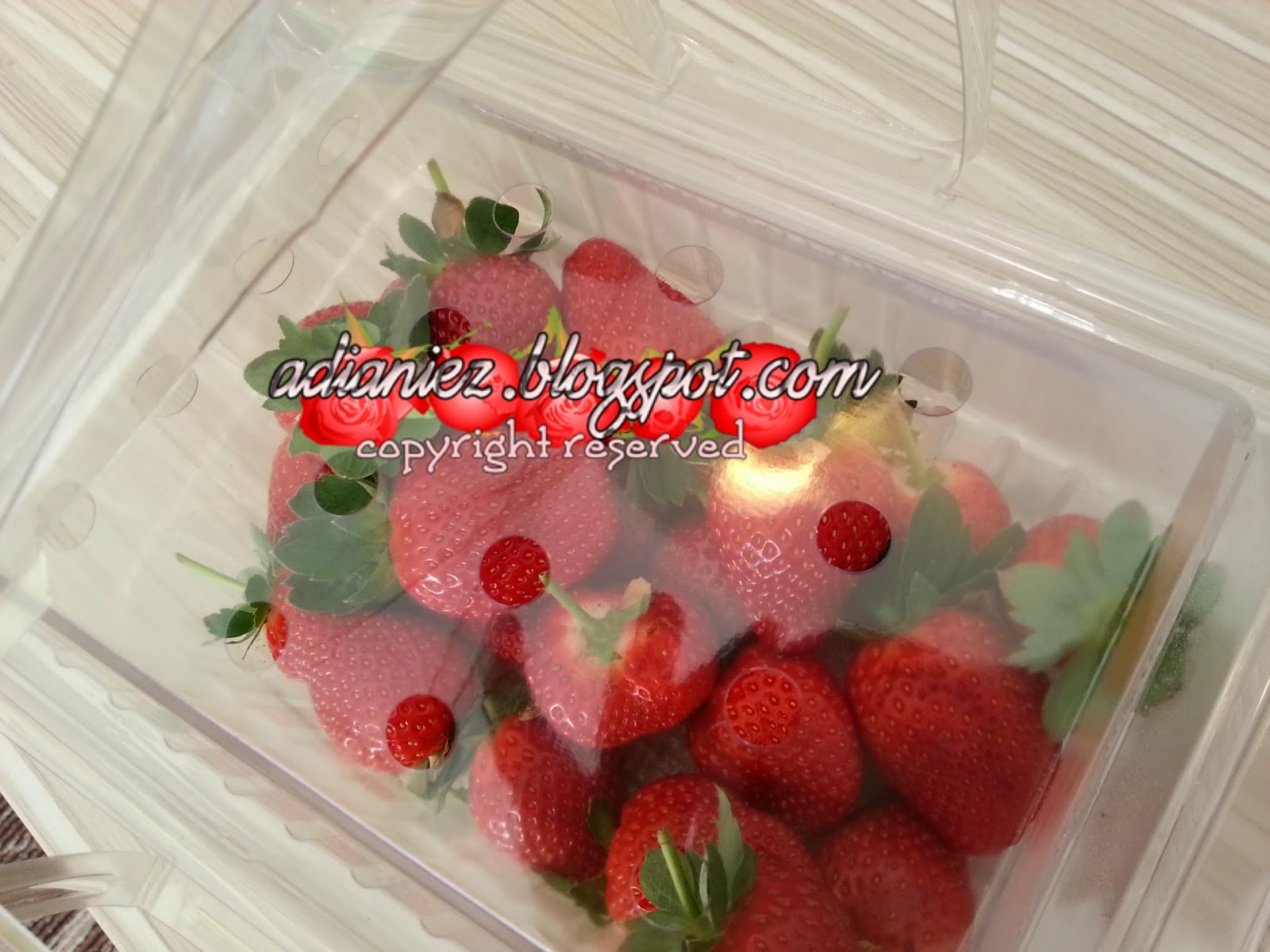 CACTUS VALLEY & BIG RED STRAWBERRY FARM ~ MARI KITA GI PETIK STRAWBERRY ANAK-ANAK IBU