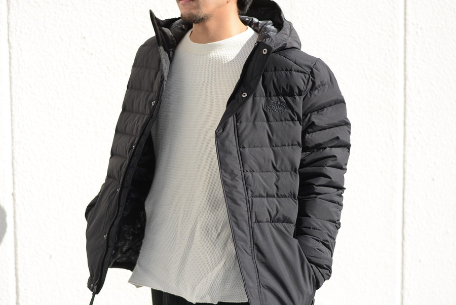 DAMAGEDONE OFFICIAL BLOG: THE NORTH FACE BEACON DOWN JACKET