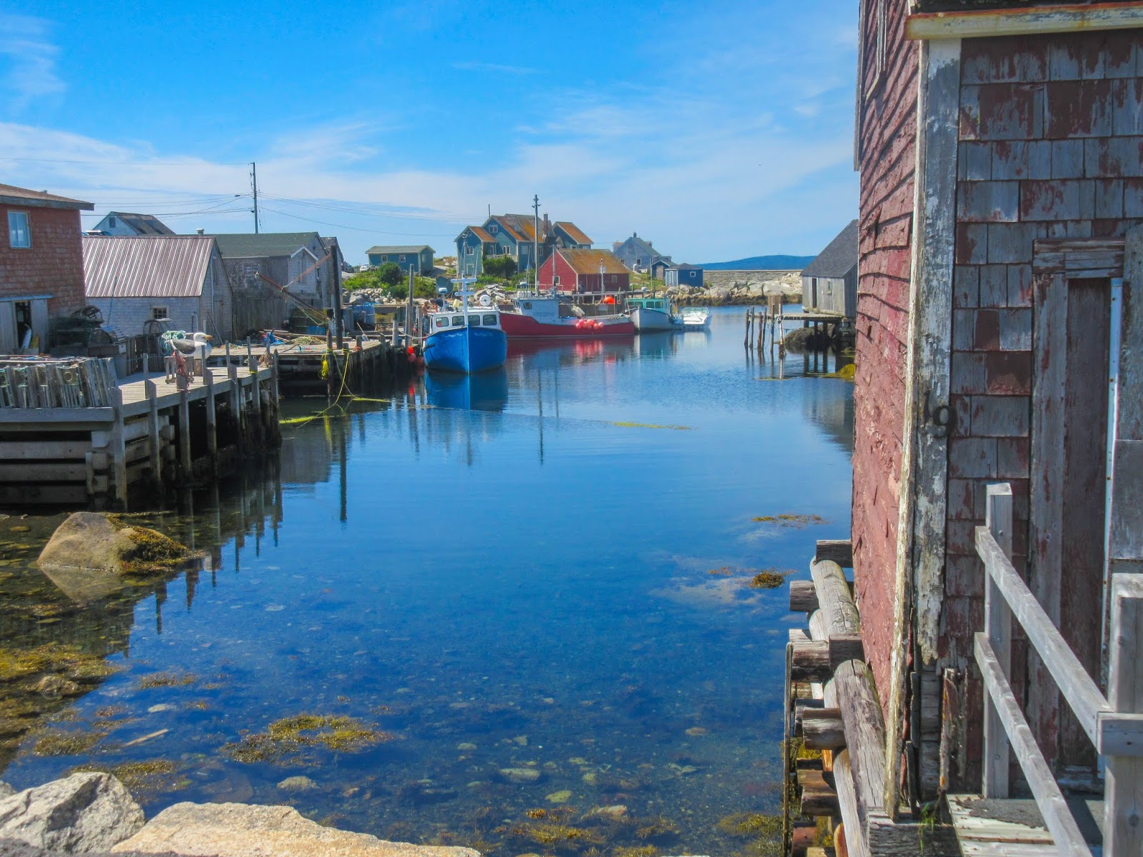 Cannundrums UCook Lobster Peggy's Cove, Nova Scotia