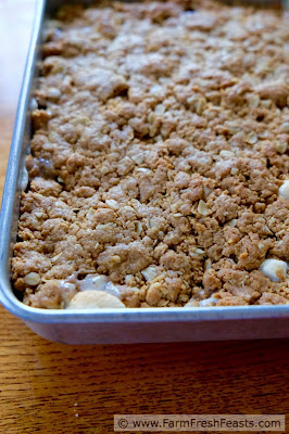 Layers of whole grain oatmeal peanut butter cookie surround plenty of dark chocolate and marshmallows in this thick, gooey, and chewy treat.