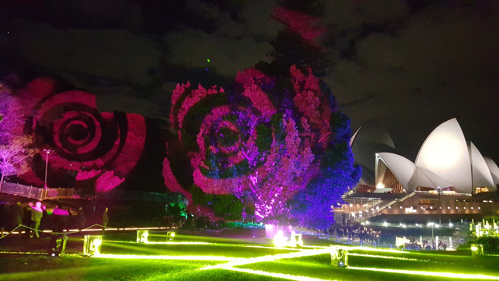 Sydney City and Suburbs Botanic Gardens, Vivid Sydney