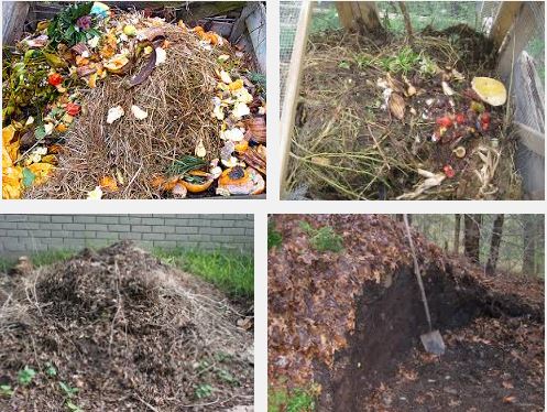  Compost pile