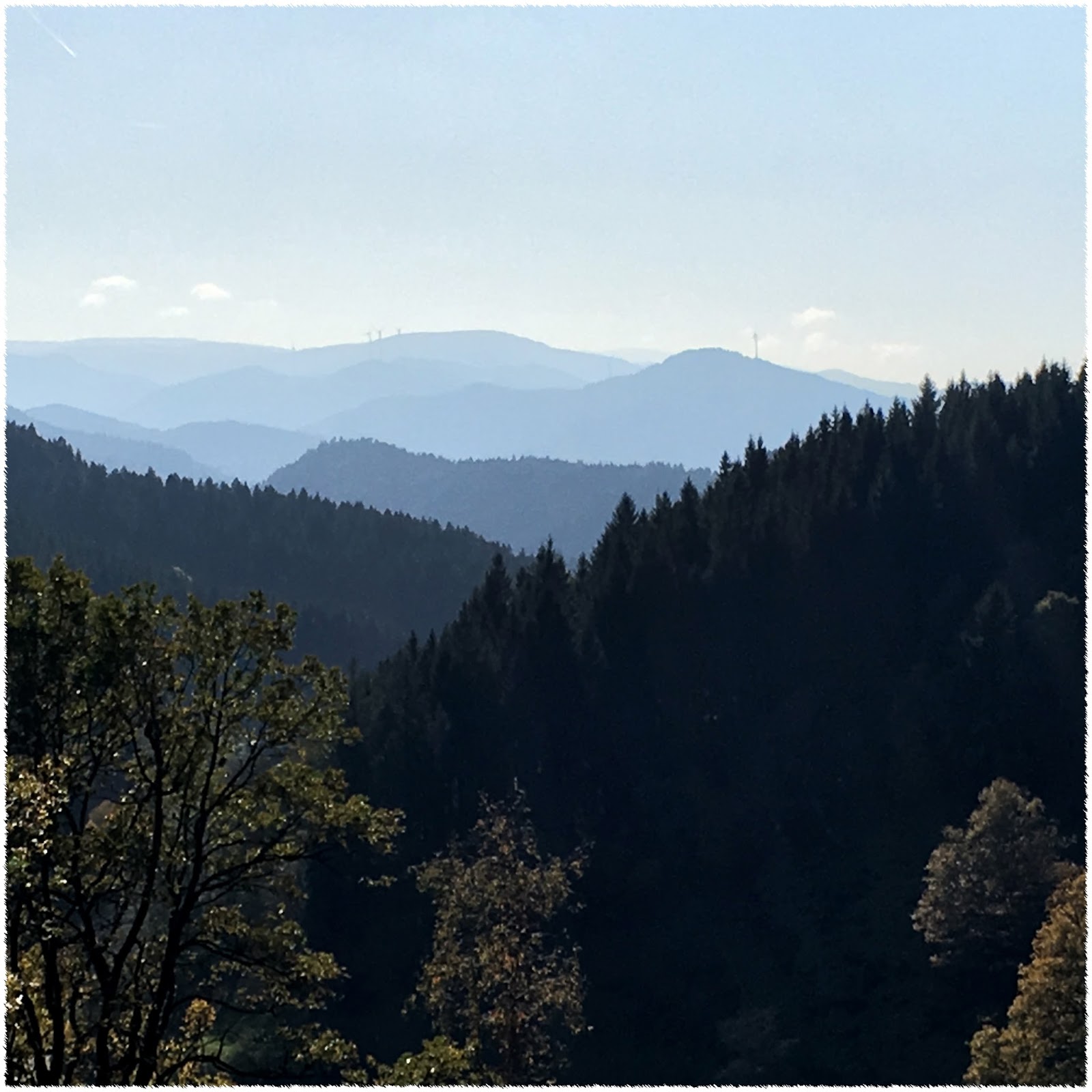 Schwarzwald Brot Martina Ziehl Mit Pampered Chef Brot Brot