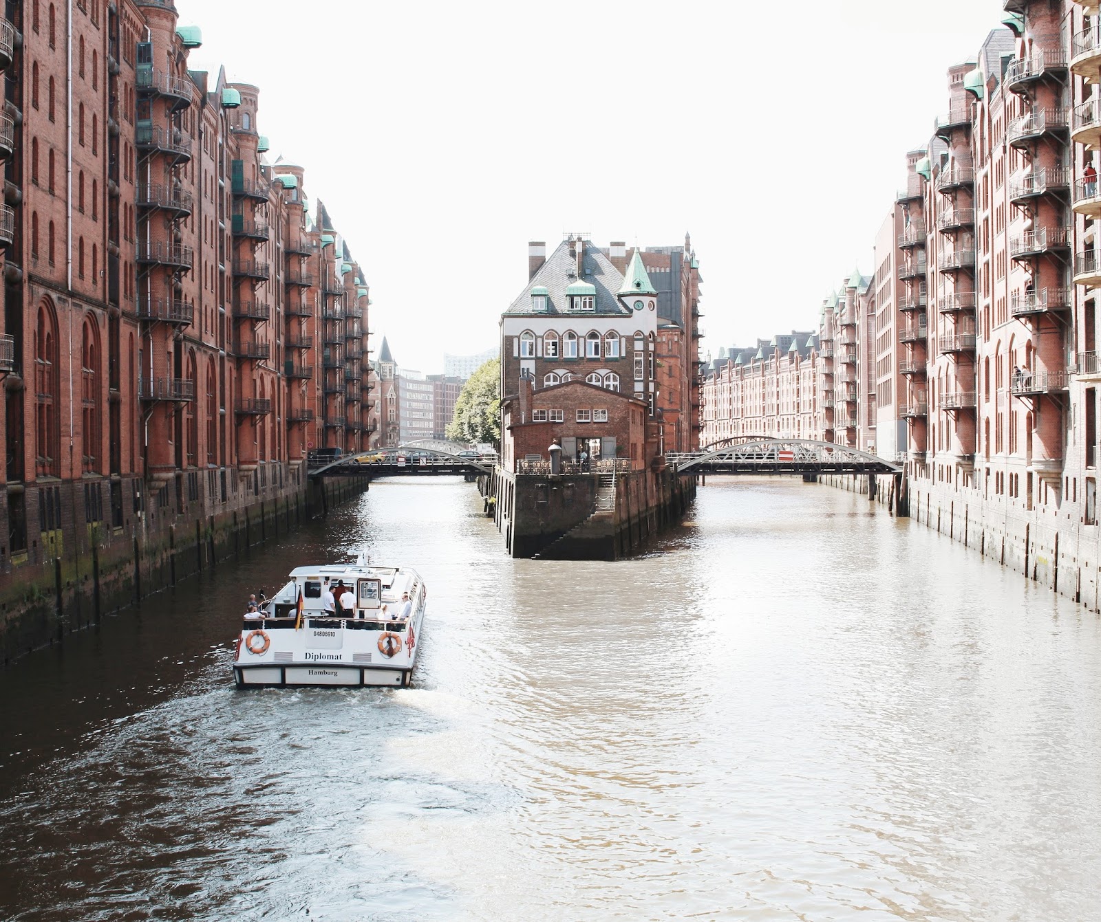 Dang It Delicious Glenwild Reo Speedwagon